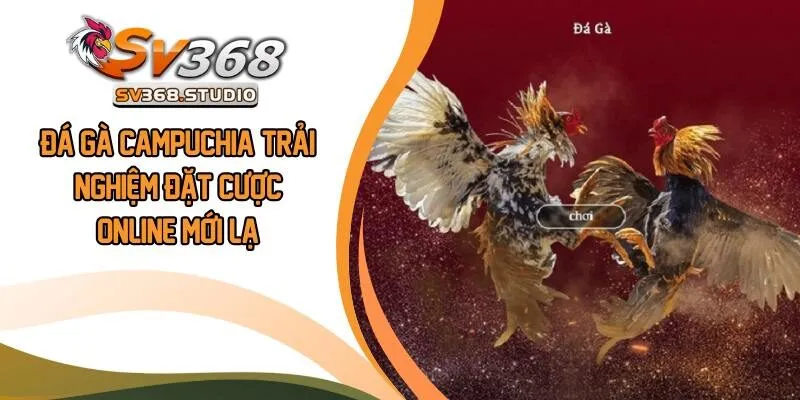 Đá Gà Campuchia