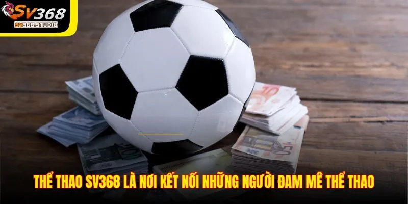 Cá cược bóng rổ, bóng chuyền, tennis