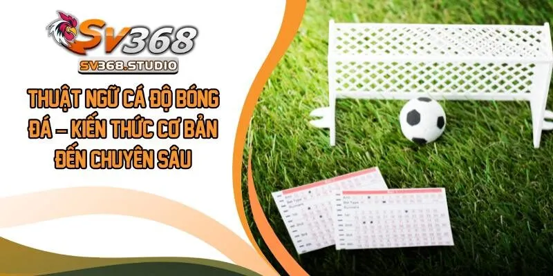 Thuật Ngữ Cá Độ Bóng Đá
