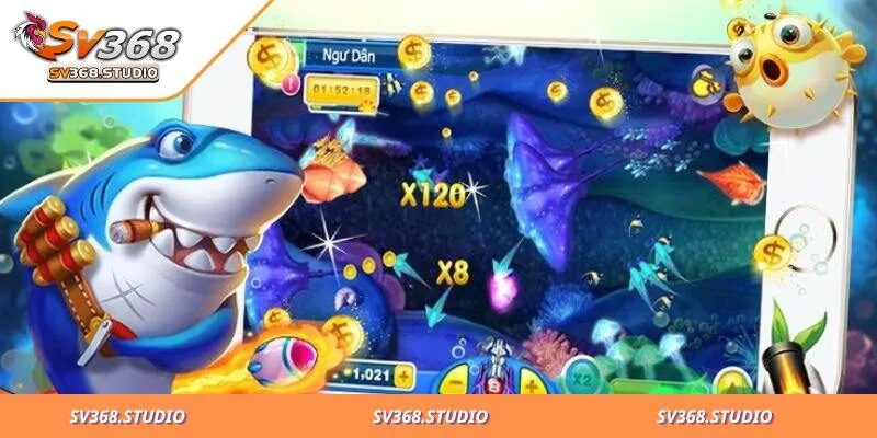 Cách bắn khi xuất hiện đàn cá